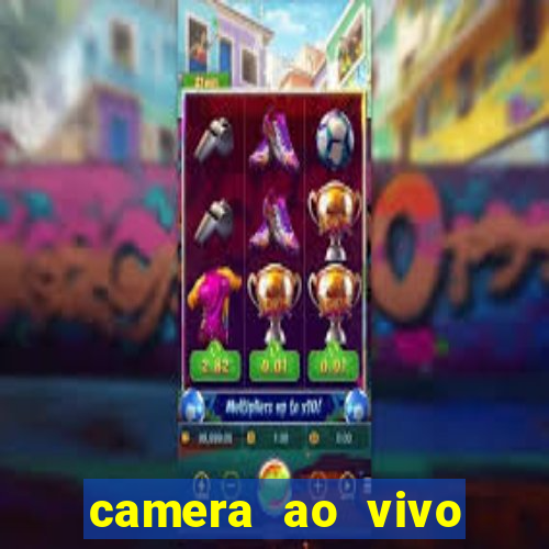 camera ao vivo beto carrero