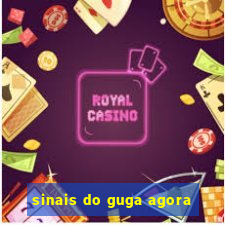 sinais do guga agora