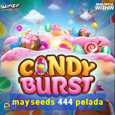 mayseeds 444 pelada