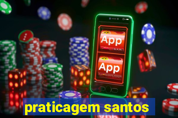 praticagem santos