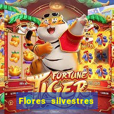 Flores silvestres brasileiras brasileiras flores silvestres nomes e imagens