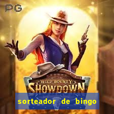 sorteador de bingo 90 bolas online