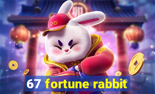 67 fortune rabbit