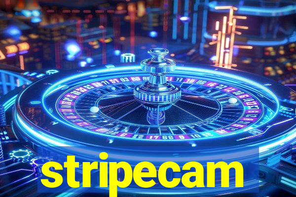 stripecam