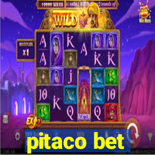 pitaco bet