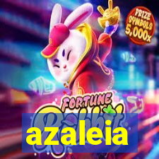 azaleia-br.com