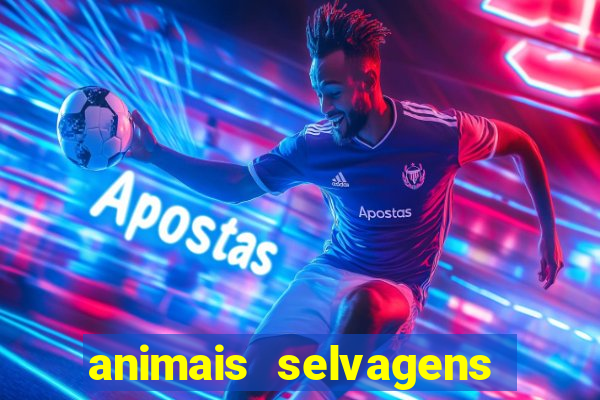 animais selvagens fotos e nomes