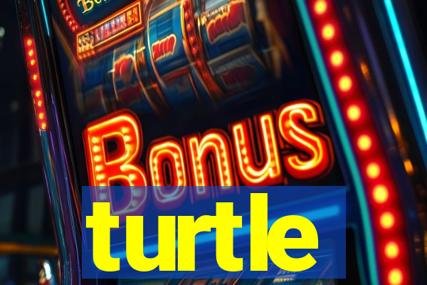 turtle-ty.com